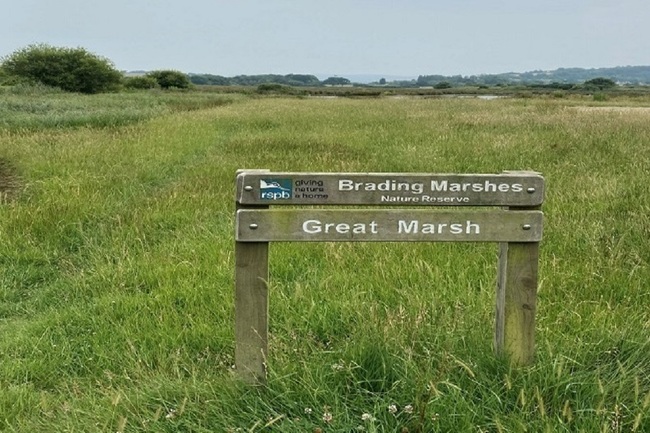 Environment Agency Launches Isle of Wight Coastal Defence
