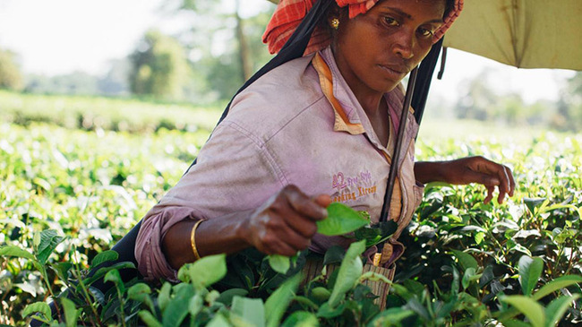 UNGA Secures €21M for Global Job & Social Protection Accelerator