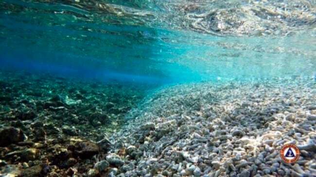 Senators warn of China ‘playbook': Reef damage, then reclamation