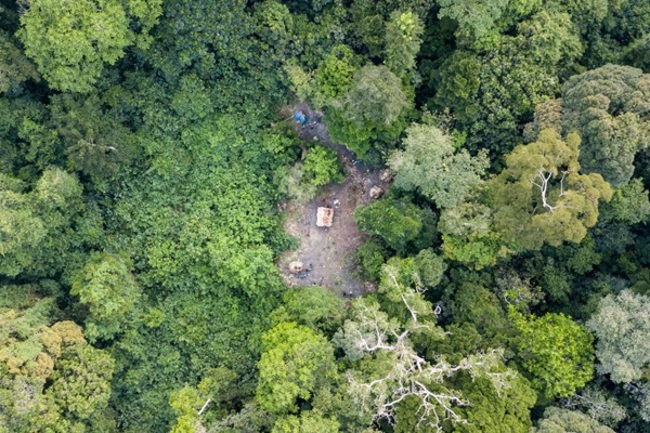 FAO Unveils CPF Joint Call to Action for Forests at SDG Summit