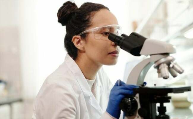 Cancer cells can be automatically detected by AI-powered microscope