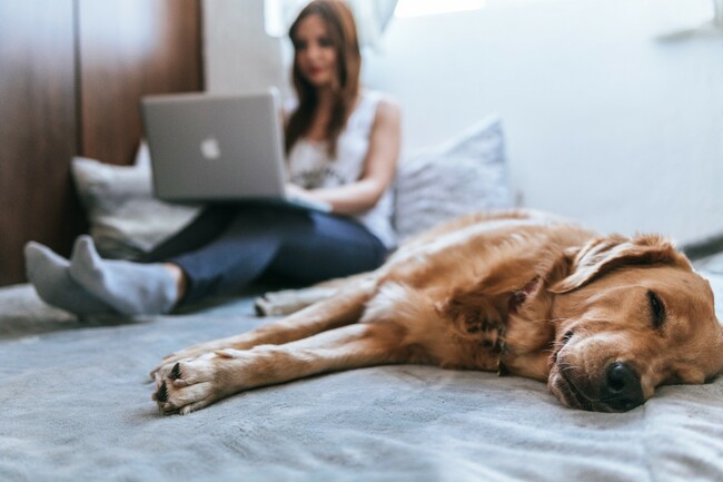Bloomberg: Finding work-life balance