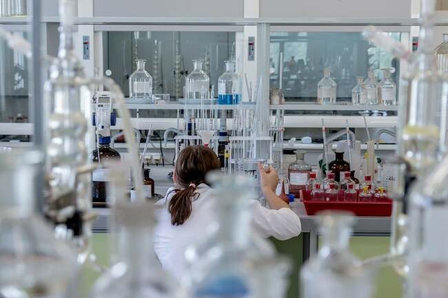 Research: Lungs Crucial for Fetal Blood Development