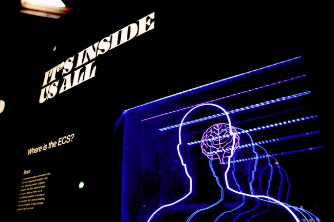 AAN Unveils 2050 Vision for Enhanced Brain Health for All