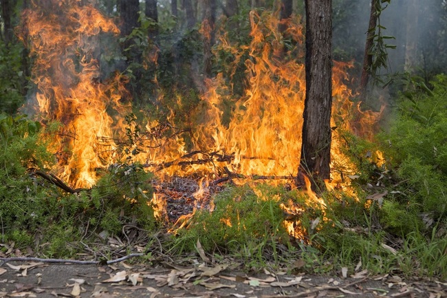 Lake Macquarie fire season fast approaching