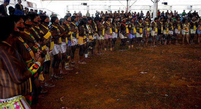 Brazil's Indigenous Peoples Celebrate Major Victory
