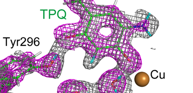 Atom Imaging Unveils Enzyme's Unique Biochemistry