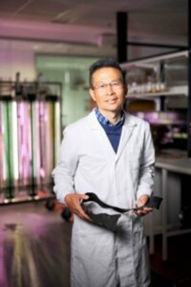 Could seaweed hold key to fountain of youth?