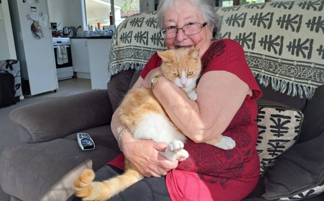 A win-win situation: New programme pairs unwanted adult cats with the elderly
