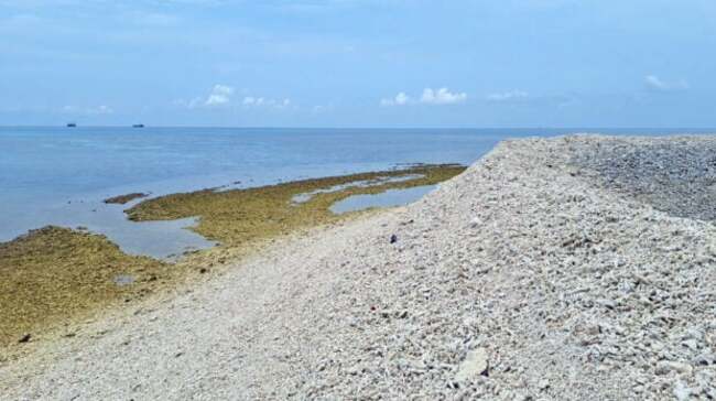 Dead, crushed corals cover sandbar near Pag-asa Island