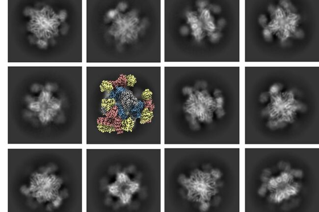 UCLA Team Enhances Nobel Prize-Winning Tech