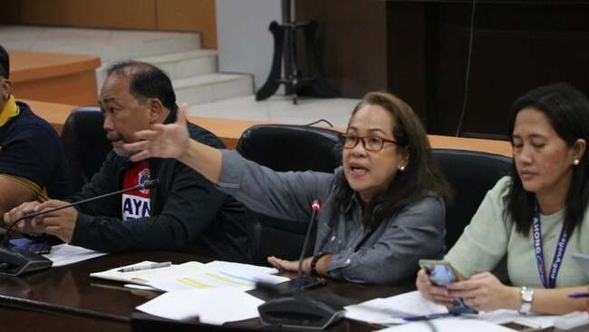 Environmental fee for tourists proposal pushed anew in Lapu-Lapu Council