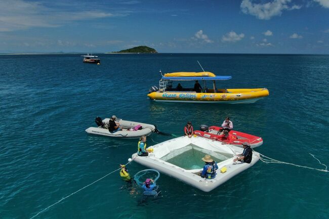 Garnier Joins Great Barrier Reef Foundation for Reef Restoration