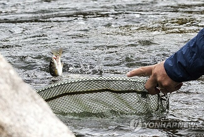 Canada Fly Fishing