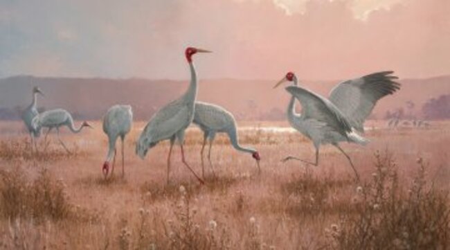 Let your imagination take flight with new NLA Publishing title