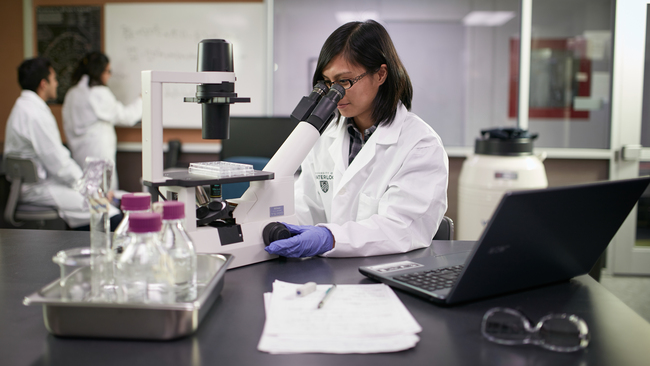 Waterloo Achieves Top Ranking in Global University Ratings