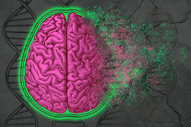 Decoding complexity of Alzheimer's disease