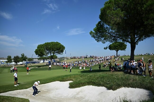 Scheffler to lead USA's bid to end European Ryder Cup hoodoo