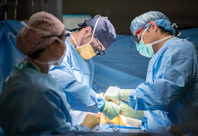 UC Davis Health launches new liver transplant program