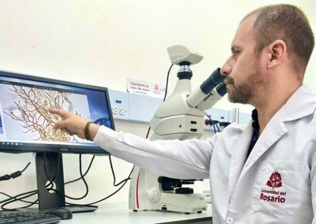 DNA remnants found in fossil of 6 million year old turtle