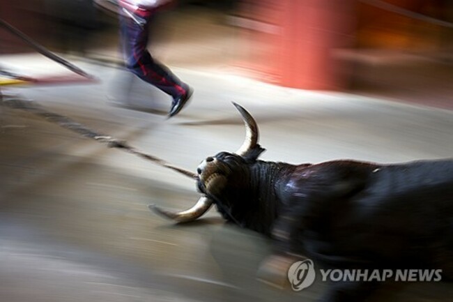 Spain Animal Rights