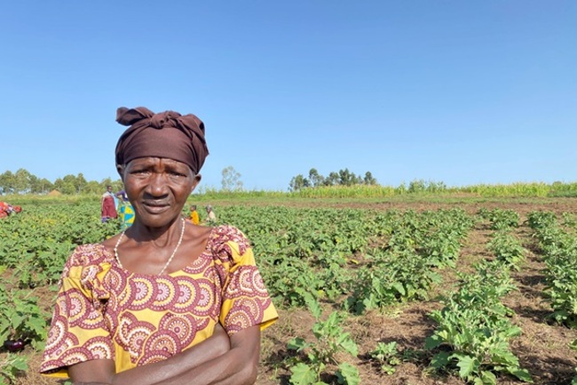 Quarter of Congo's Population Faces Acute Food Insecurity