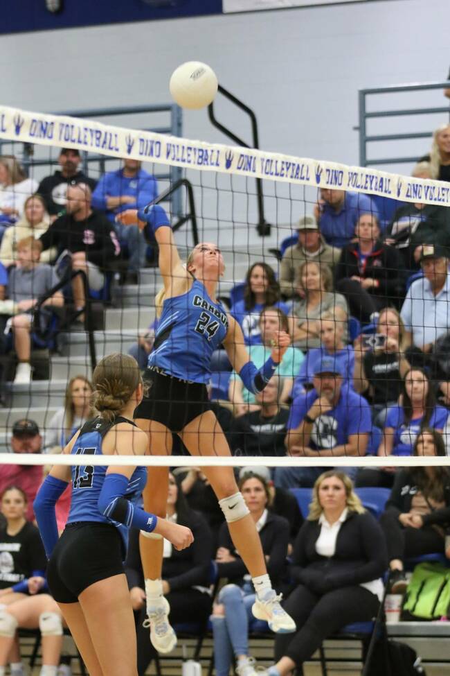 Rabbits Race Past Lady Dinos