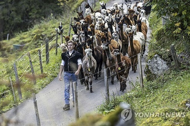 Switzerland Kiental Descent