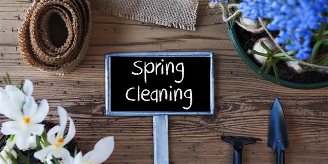 City of Ryde Offers 10 Tips for Eco-Friendly Spring Refresh