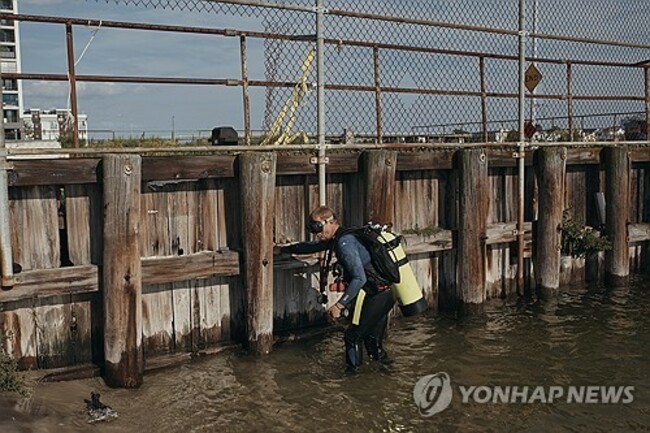 Underwater Cleanup