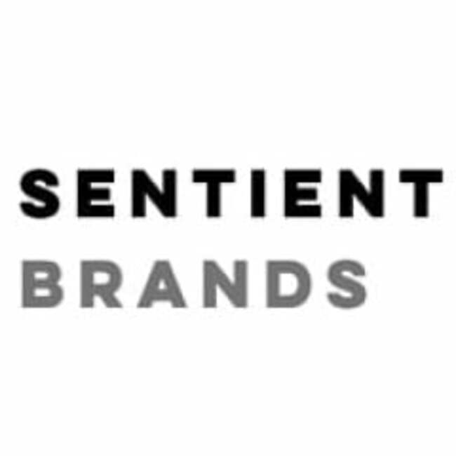 Sentient Brands (OTC:SNBH) Shares Up 15.6%