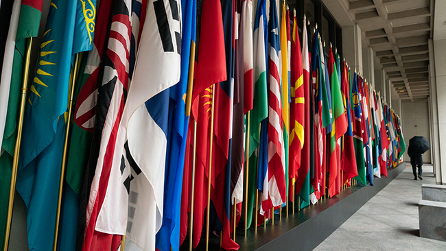 World Bank Okays $290M for Central Africa Stats Upgrade