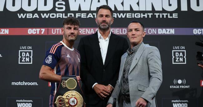 Who is the current featherweight division boxing champion? IBF, WBA, WBC, WBO, and Ring champions