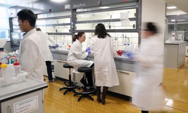 £2.2m funding to find non-addictive painkiller