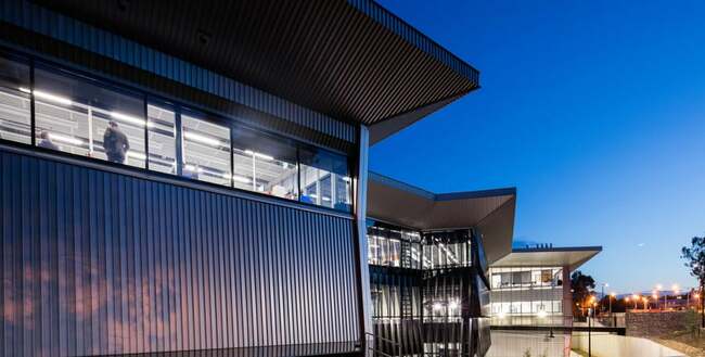 Parents Urged to Allow Risk-Taking During Children's Play