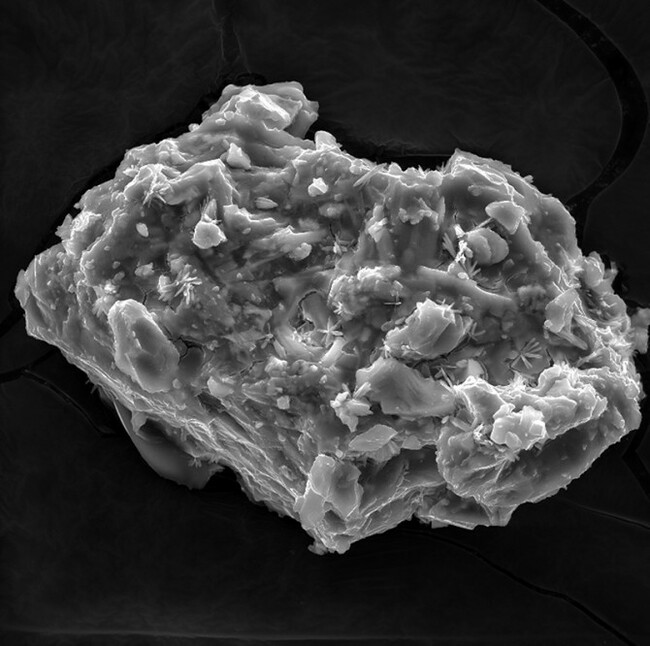 Cornell Uncovers Volcanic Ash Impact on Earth Systems