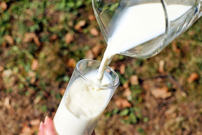 Cow milk vs. alternative milk: what's best?