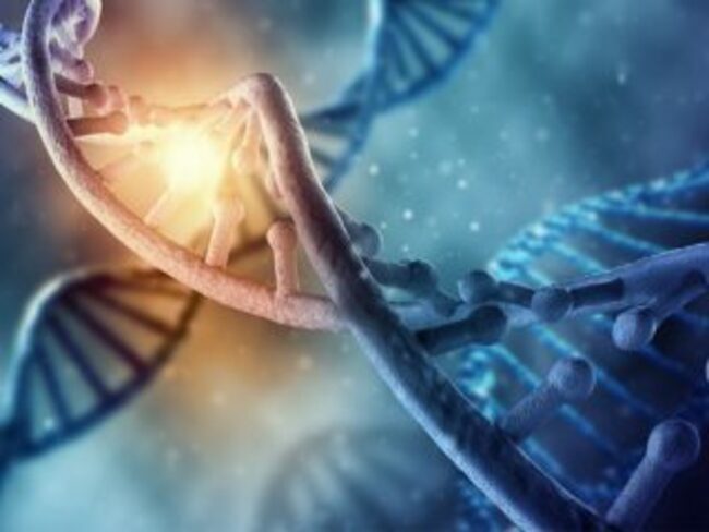 Gene Editing Uncovers Genome-Autism Link in Human Cells
