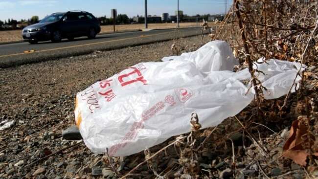 Leaf Rapids led the way: Manitoba town was 1st in North America to ban plastic bags 15 years ago