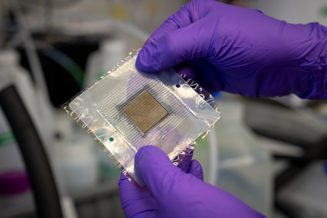 Berkeley Lab Pioneers Six Methods for Global Clean Hydrogen