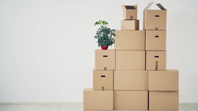 2 FTSE 100 growth stocks I'd buy with £1,000