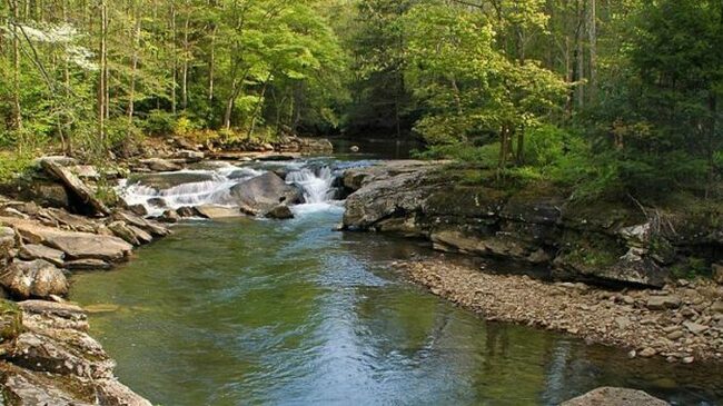 WEST VIRGINIA: Oil Co. Fined $825K, Must Restore Tainted Waters
