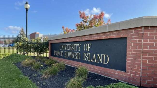 Island adults will soon have access to new ADHD clinics