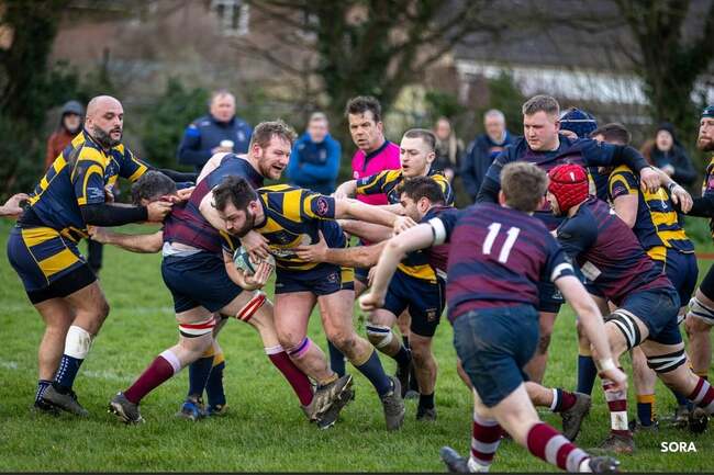 Rugby: Eastbourne bounce back from loss to beat Kingston