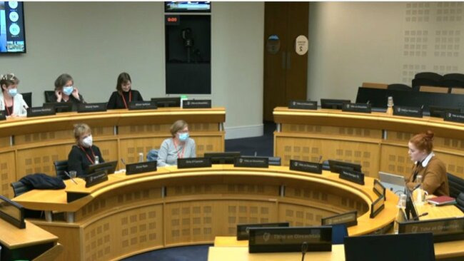 Abortion law preventing access to services, cttee told