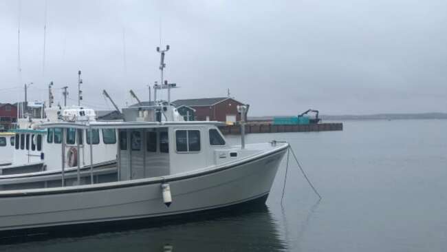 P.E.I. lobster season delayed by weather, need for dredging