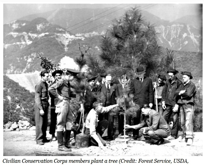 AOC, Markey Introduce Civilian Climate Corps Bill To Revive New Deal Era Program