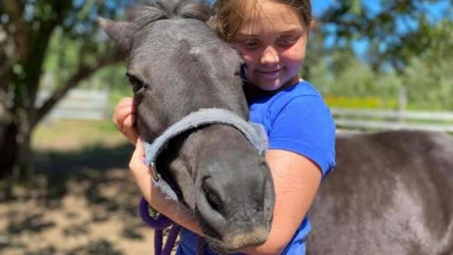On this N.B. farm, the horses are tiny but the rewards are huge
