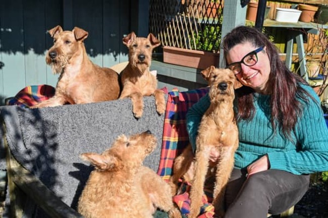Crufts 2025: Meet the rare three generations of Irish terriers competing in dog show
