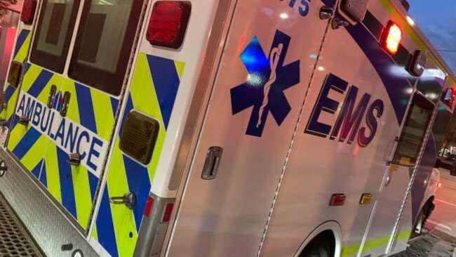 'Are you sending an ambulance?' Neighbour says multiple calls made to 911 following dog attack